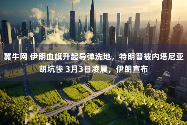 翼牛网 伊朗血旗升起导弹洗地，特朗普被内塔尼亚胡坑惨 3月3日凌晨，伊朗宣布
