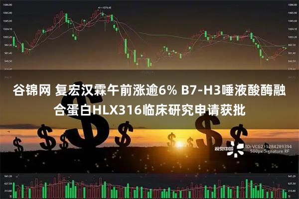 谷锦网 复宏汉霖午前涨逾6% B7-H3唾液酸酶融合蛋白HLX316临床研究申请获批