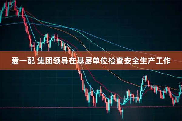 爱一配 集团领导在基层单位检查安全生产工作