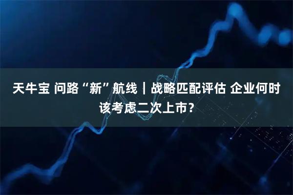 天牛宝 问路“新”航线｜战略匹配评估 企业何时该考虑二次上市？
