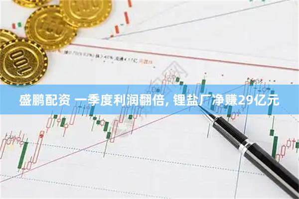 盛鹏配资 一季度利润翻倍, 锂盐厂净赚29亿元