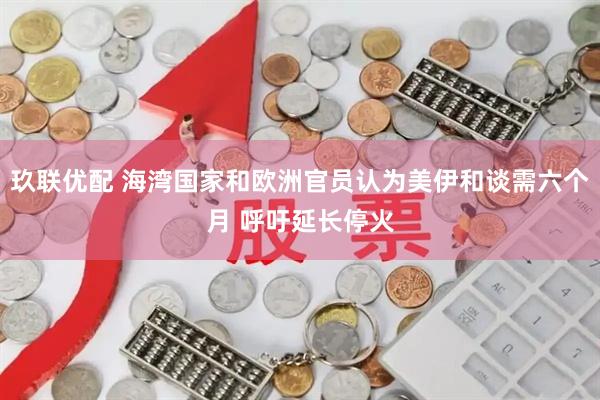 玖联优配 海湾国家和欧洲官员认为美伊和谈需六个月 呼吁延长停火