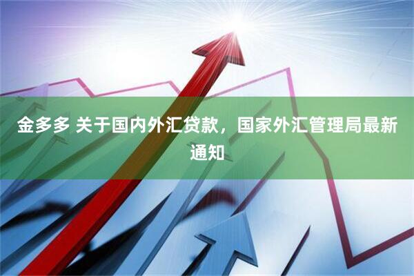 金多多 关于国内外汇贷款，国家外汇管理局最新通知