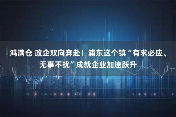 鸿满仓 政企双向奔赴！浦东这个镇“有求必应、无事不扰”成就企业加速跃升