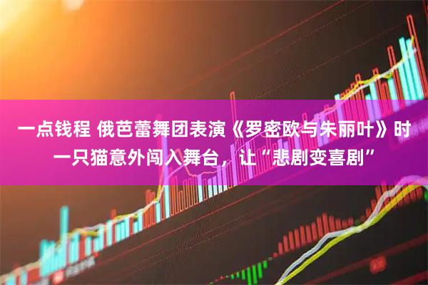 一点钱程 俄芭蕾舞团表演《罗密欧与朱丽叶》时一只猫意外闯入舞台，让“悲剧变喜剧”