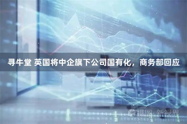 寻牛堂 英国将中企旗下公司国有化，商务部回应